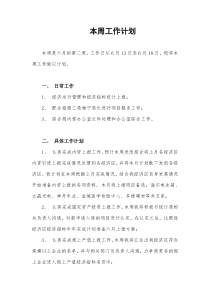 本周工作计划