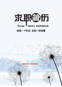 2017年精美个人简历模板;小清新;word简历模板下载