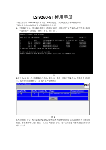 LSI9260-8i操作手册