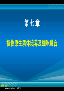 植物组织培养第七章植物原生质体培养及细胞融合