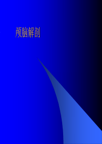 大脑解剖