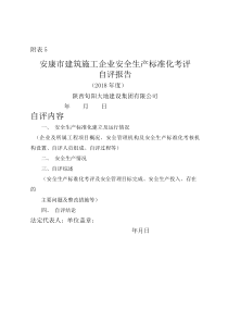 建筑施工企业安全生产标准化自评报告-