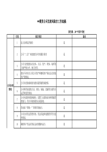 首席风险官工作底稿