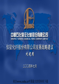 仪征化纤股份有限公司发展战略建议(ppt 21页)