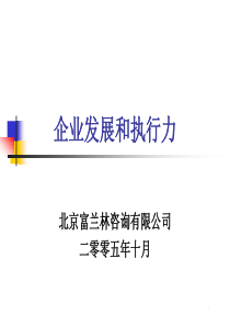 企业发展和执行力