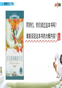 部编版六年级下册语文精美课件6 骑鹅旅行记（节选）