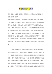 晕轮效应是什么原因