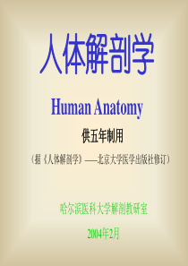 人体解剖学(精)