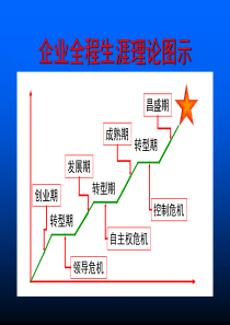 企业发展阶段与常见问题