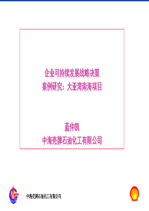 企业可持续发展战略决策
