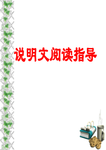 说明文复习课课件
