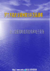 企业发展战略组织结构和电子商务（PPT 79页）
