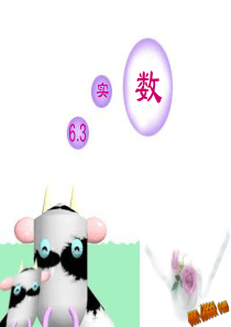七下6.3实数PPT.讲义