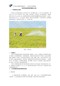 稻田种植智能管理解决方案