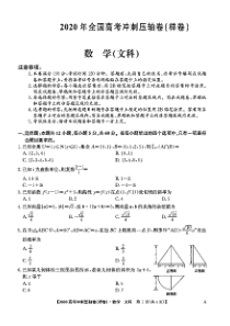 2020年全国高考文科数学模拟试题(含答案和解析)(冲刺压轴卷)
