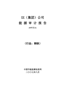 范文钢铁行业能源审计报告
