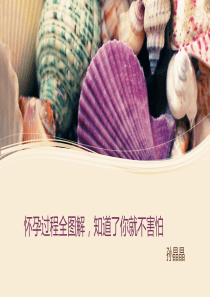 怀孕过程全图解-知道了你!ppt课件
