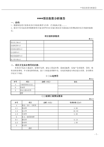 投资分析报告模版