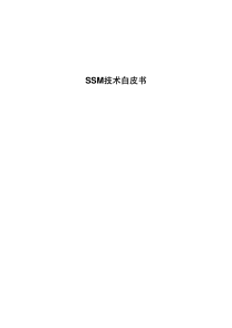 SSM技术白皮书