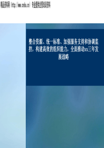 全面推动XX三年发展战略报告