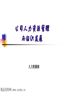公司人力资源管理与组织发展