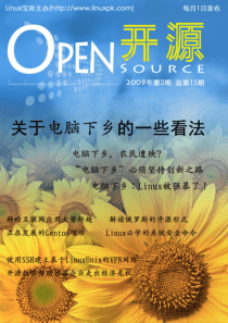 六点策略建议大力发展Linux