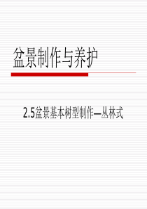 1.7盆景基本树型制作—丛林式