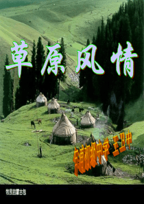 最新：草原风情