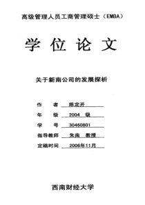 关于新南公司的发展探析
