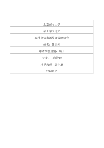 农村电信市场发展策略研究