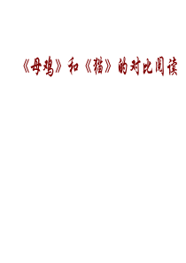 母鸡》和《猫》对比阅读