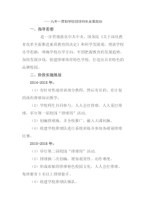 排球三年发展规划