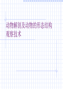 动物解剖及动物的形态结构分解