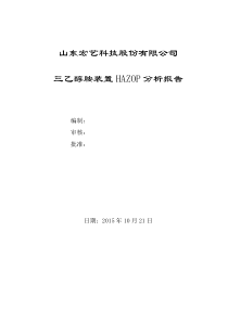 三乙醇胺装置系统HAZOP分析报告