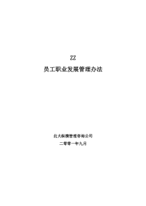 北大纵横北京ZZ房地产公司员工职业发展管理办法(1)