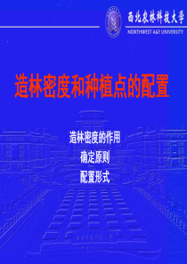 造林密度和种植点的配置