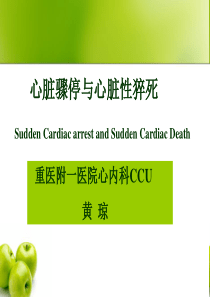第五节   心脏骤停与心脏性猝死