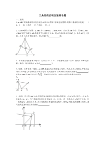 三角形的证明及旋转专题