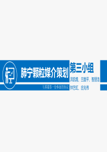 修正肺宁颗粒广告媒体策划书