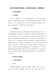 医院发展规划及指导思想