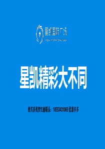 房地产项目介绍星凯