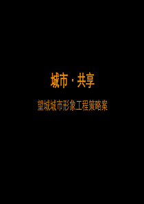 长沙望城城市形象工程策略案_56PPT_2008年_盛凯顾问