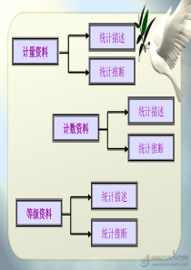 计量资料的统计描述