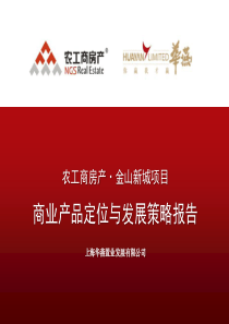 华燕_上海农工商房产_金山新城商业产品定位与发展策略报告_60PPT
