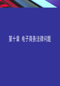 74第十章 电子商务法律问题