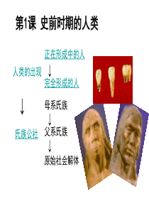 九年级历史史前时期的人类1