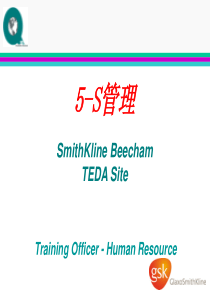 5S管理经典课件