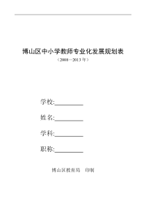 博山区中小学教师专业化发展规划表