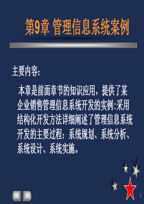 第9章 管理信息系统案例