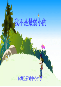 我不是最弱小的PPT